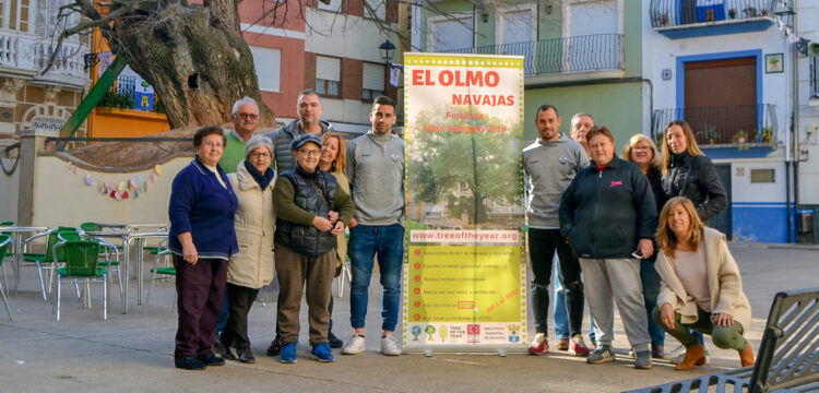 Olmo de Navajas